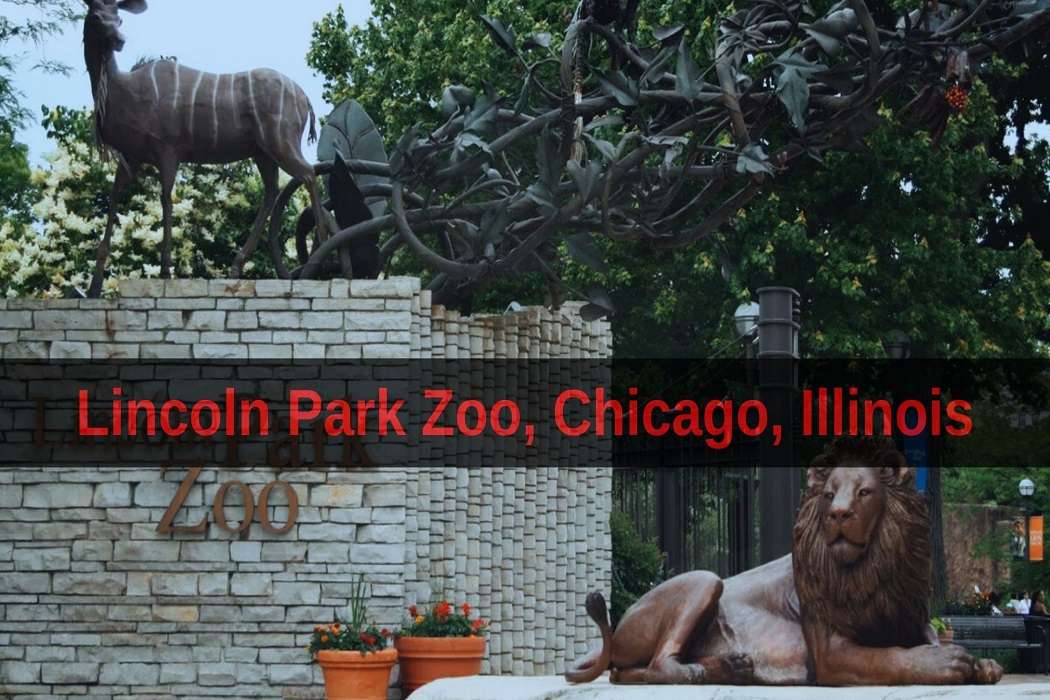 Lincoln Park Zoo, Chicago, Illinois